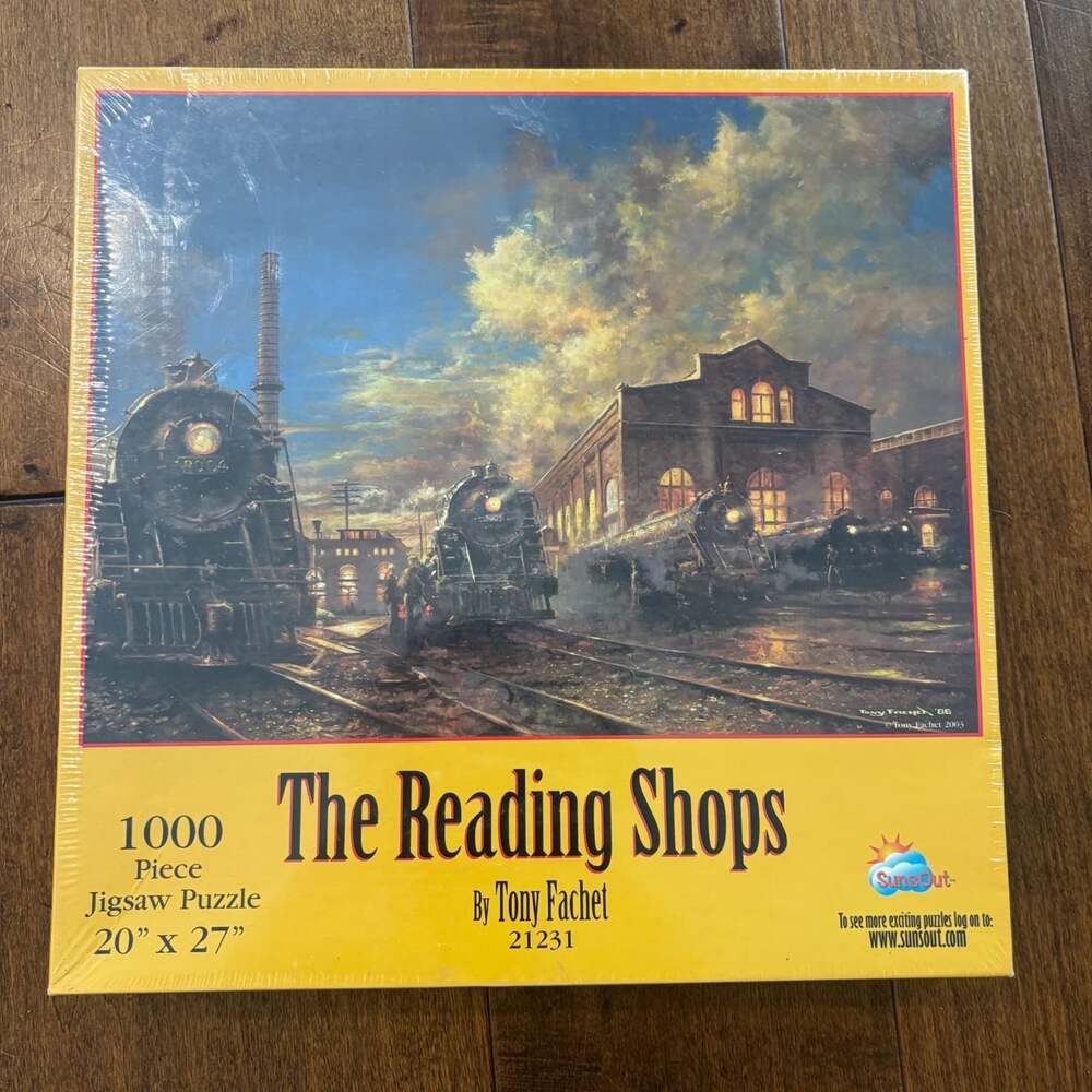 SunsOut The Reading Shops Tony Fachet 1000 Piece Jigsaw Puzzle Sealed New Train